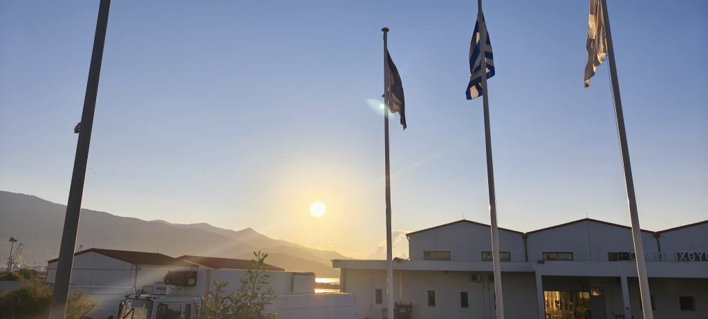 Ιχθυόσκαλα Βόλου: Τρόπος λειτουργίας, τιμές και προέλευση ψαριών – Γιατί τα καΐκια δεν μπορούν να δέσουν