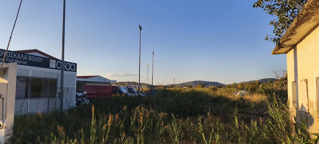 Ιχθυόσκαλα Βόλου: Τρόπος λειτουργίας, τιμές και προέλευση ψαριών – Γιατί τα καΐκια δεν μπορούν να δέσουν