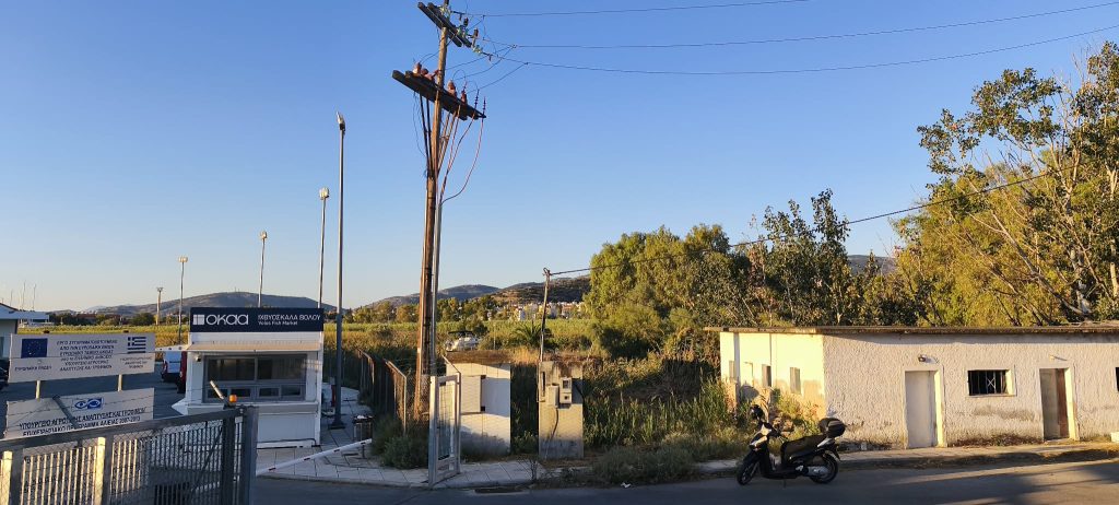 Ιχθυόσκαλα Βόλου: Τρόπος λειτουργίας, τιμές και προέλευση ψαριών – Γιατί τα καΐκια δεν μπορούν να δέσουν