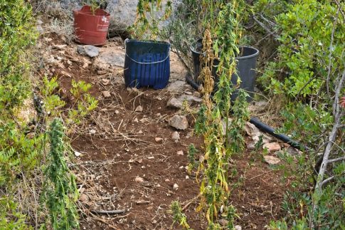 Στο ευρωπαϊκό «πρωτάθλημα» περπατήματος και η Καλαμάτα – Μετράμε βήματα για το European Steps Challenge