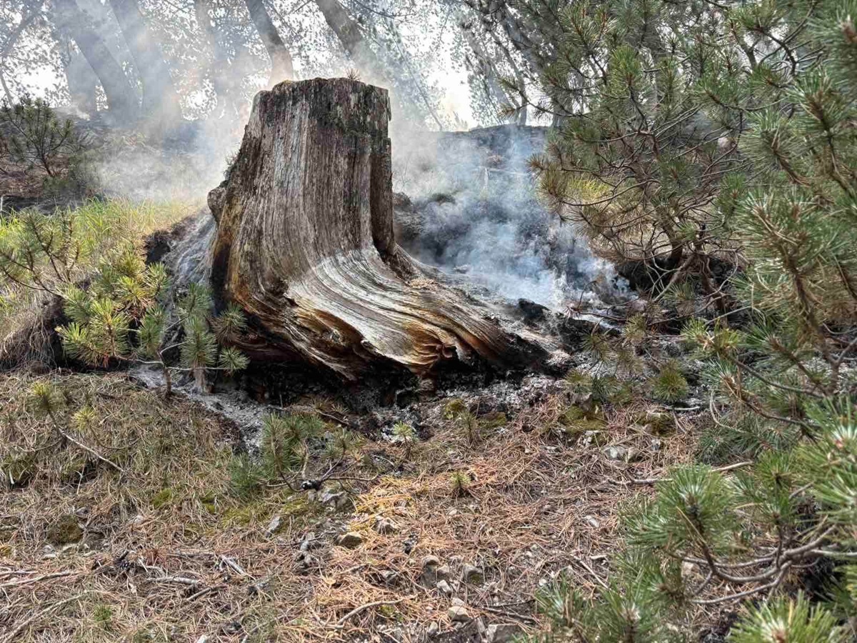 Κόνιτσα: Για 11η ημέρα η μάχη με τη φωτιά