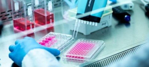Σάμος: 365 μετανάστες από την Κρήτη στο νησί – 250 αναχωρούν για την ενδοχώρα
