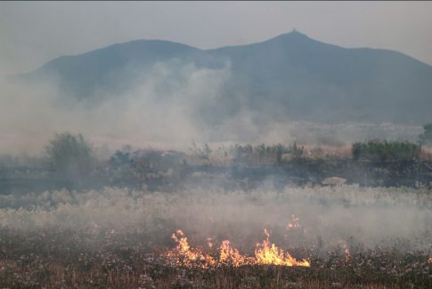 Θεσσαλονίκη: Παρουσίαση του οικονομικού προγράμματος της ΕΛ.Α.Σ. από τον Αλέξη Τσίπρα