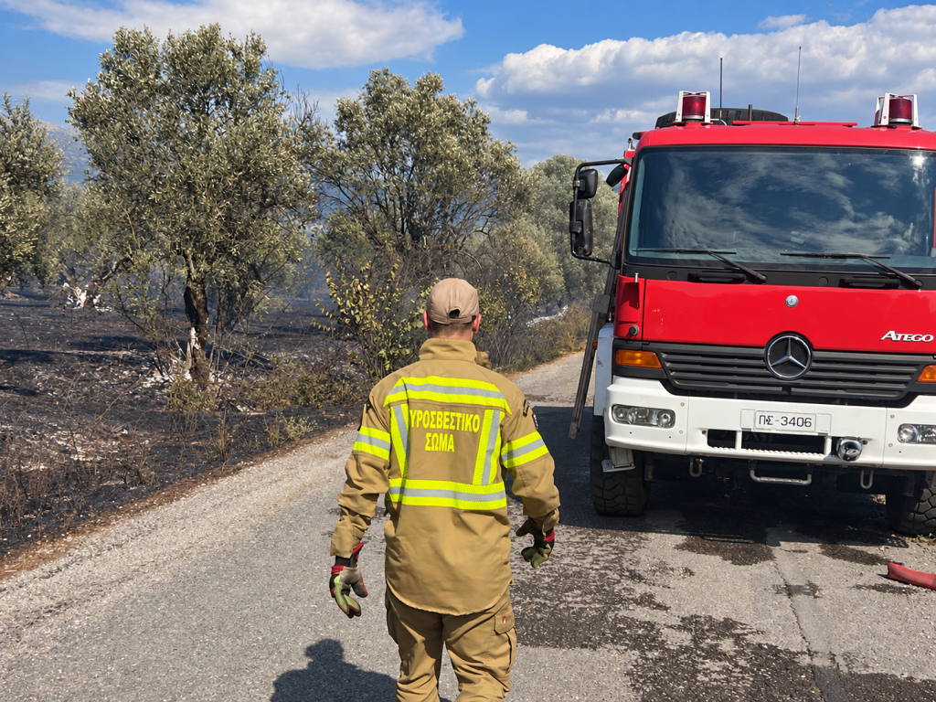 Λ. Τζούμης στην ΕΡΤ Καλαμάτας: Στα 7.900 στρέμματα οι καμένες εκτάσεις στην Πελοπόννησο – Σχεδιάζονται αισθητήρες