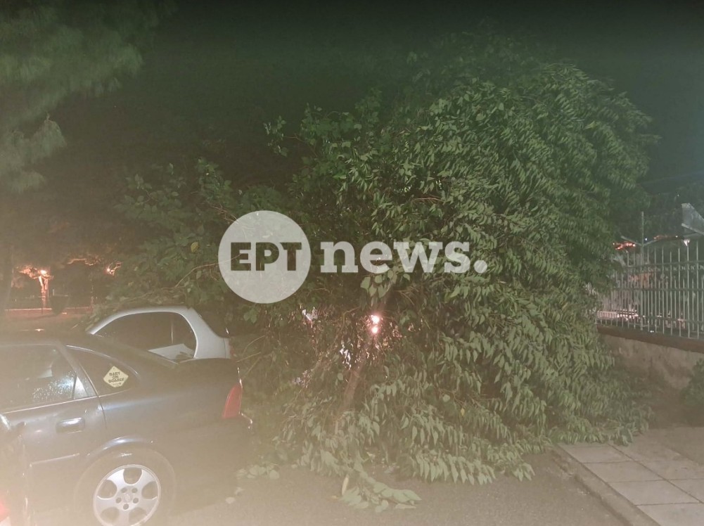 Άνοιξαν οι ουρανοί στη Θεσσαλονίκη: Πτώσεις δέντρων και αντλήσεις υδάτων