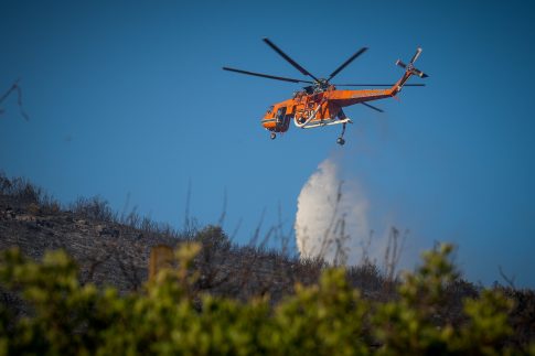 Τεχνητή νοημοσύνη και εικονικοί κόσμοι στην 10<sup>η</sup> έκθεση Άρτας