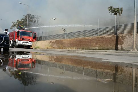 Ιεράπετρα: Σύλληψη για <strong>δηλητηρίαση αδέσποτου σκύλου</strong>
