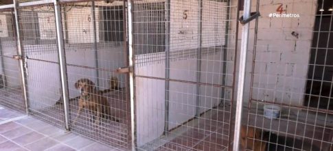 Νέες παρεμβάσεις στα σχολεία της Ανατολικής Σάμου – Έμφαση στην ασφάλεια και τη συντήρηση
