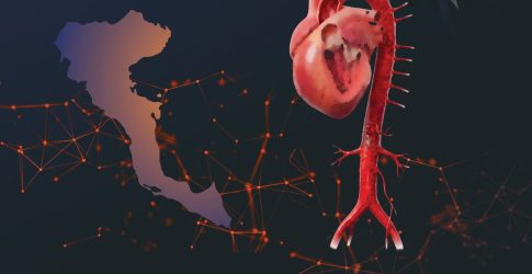 Κέρκυρα: Το 19<sup>ο</sup> Ρεύμα Ανακύκλωσης δημιουργεί ο Δήμος του Βορρά, μετατρέποντας τα υπολείμματα από κλαδέματα σε λίπασμα