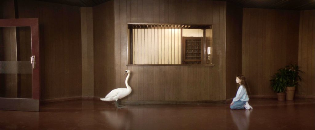 The Deer Film Club: Το KINO Athens και το T.A.F. / The Art Foundation παρουσιάζουν ένα νέο Film Club