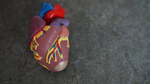 Ένθετο Παιδεία: Η τάξη του μέλλοντος στο ERTNEWS – Νέες τεχνολογίες στην εκπαίδευση