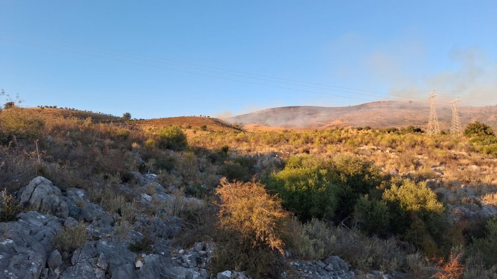 Θεσπρωτία: Φωτιά στη Λωρίδα Σαγιάδας κοντά στα σύνορα