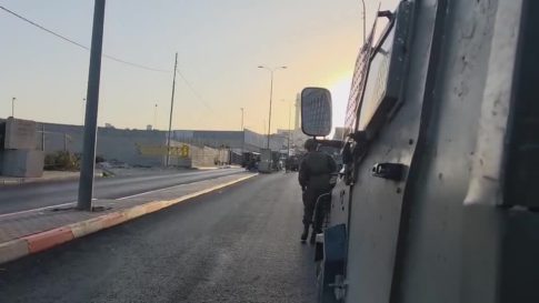 Πρεμιέρα του “<strong>Harvest”</strong>της Αθηνά Ραχήλ Τσαγγάρη στις ΗΠΑ από το MUBI