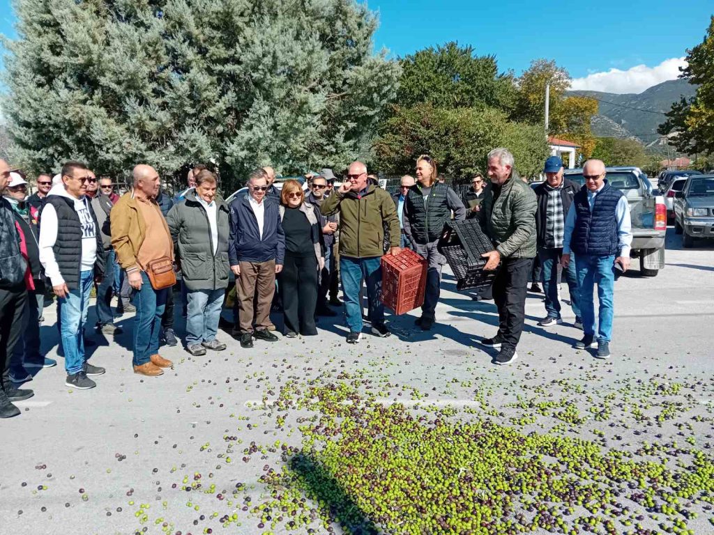Συλλαλητήριο ελαιοπαραγωγών στον δήμο Τεμπών – Ζητούν μέτρα στήριξης της καλλιέργειας