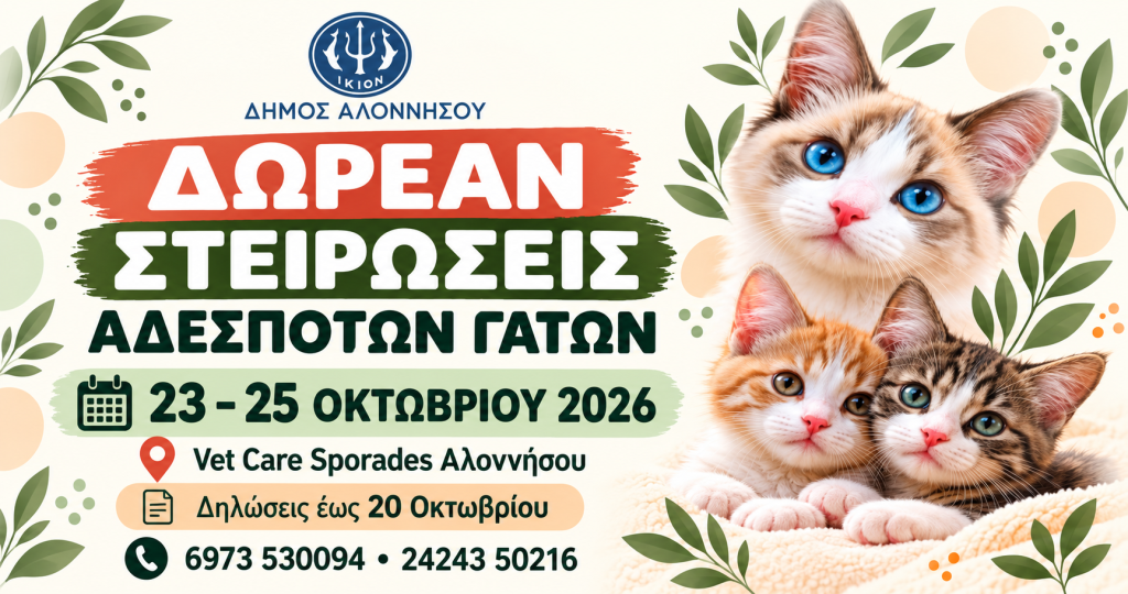 Δωρεάν στειρώσεις αδέσποτων γατών από τον Δήμο Αλοννήσου