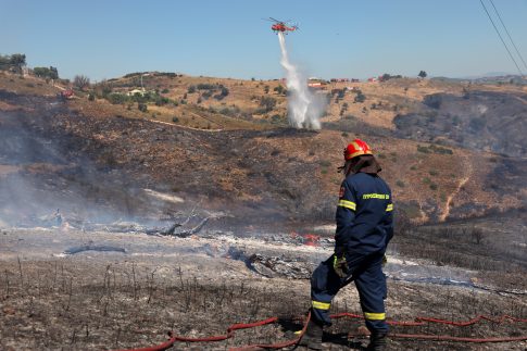 Αττική: Συνελήφθη 52χρονος γιατρός για πορνογραφία ανηλίκων – Εντοπίστηκαν εκατοντάδες αρχεία