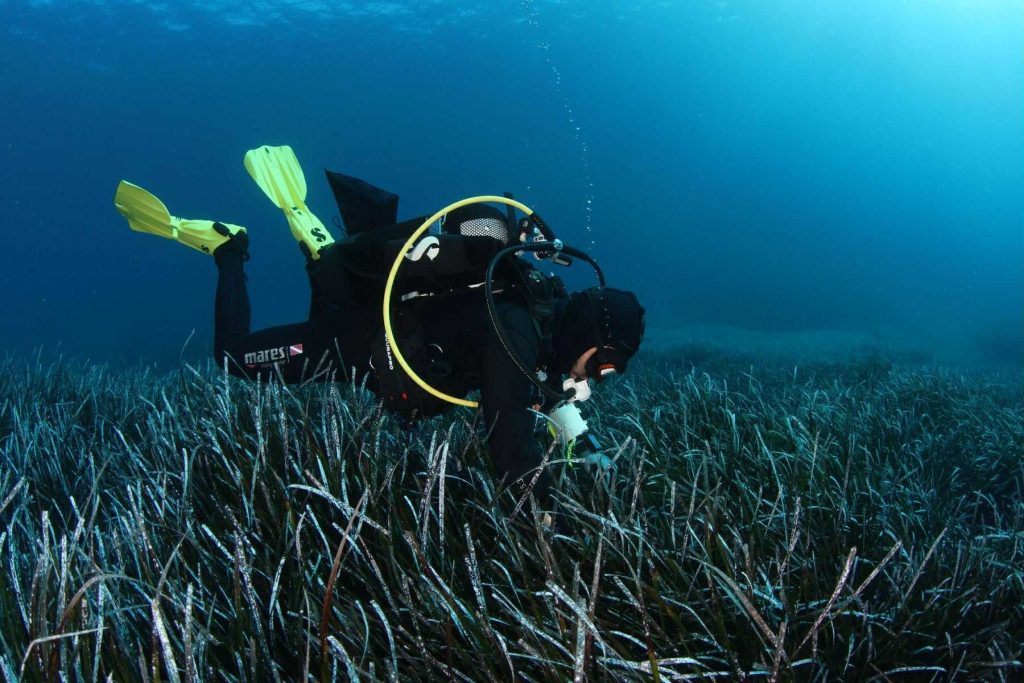 Σε λειτουργία το Παρατηρητήριο BLUEQ του Πανεπιστημίου Αιγαίου – Στο επίκεντρο η προστασία των θαλασσίων οικοσυστημάτων