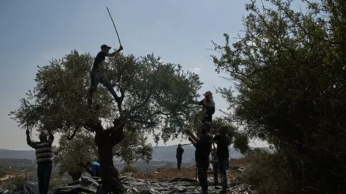 Eπιστημονική Ημερίδα για τις δυνατότητες ανάδειξης του Κάστρου Σερβίων