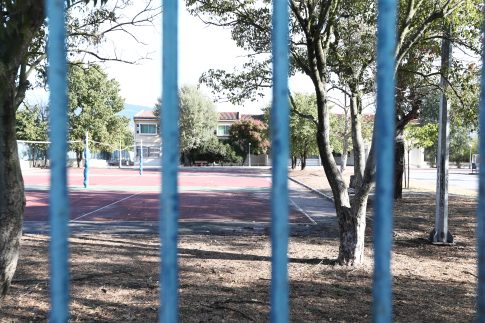 <strong>Με επιτυχία η Γιορτή Ακτινιδίου σε Αιγάνη και Πυργετό Λάρισας</strong>