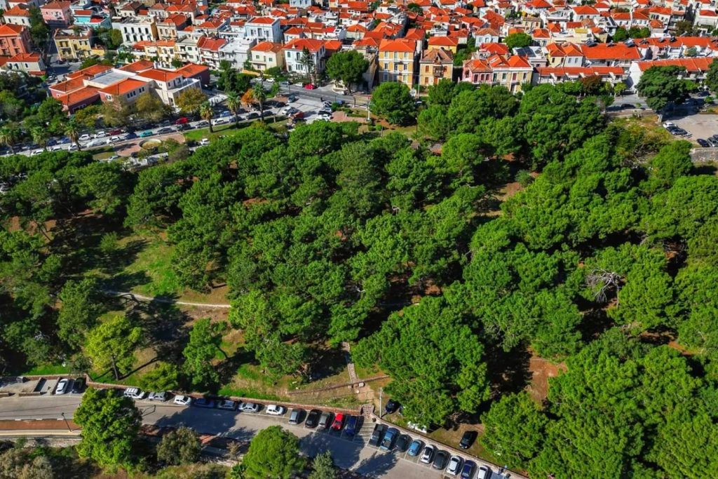 Μυτιλήνη: Προχωρά η δημοπράτηση της ανάπλασης του άλσους «Τσαμάκια»