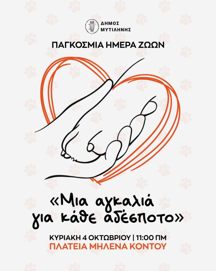 Η Μυτιλήνη ανοίγει την αγκαλιά της στα αδέσποτα