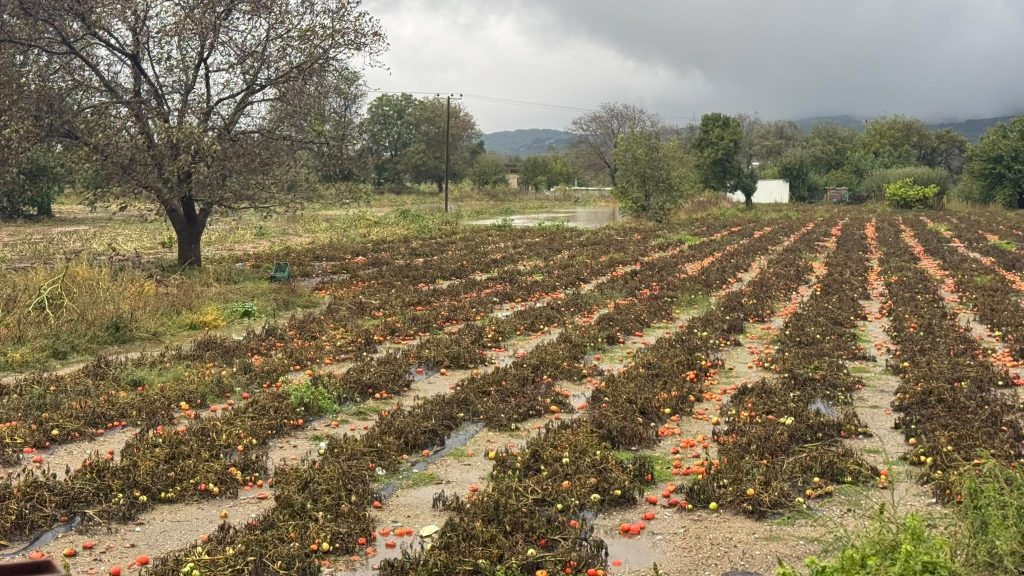 Ανδρουλάκης από Οροπέδιο Λασιθίου: «Να δοθούν άμεσα λύσεις» – Μοντέλο τύπου Daniel ζητούν οι πληγέντες της Κρήτης