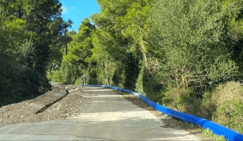 Ζάκυνθος: Συνελήφθησαν 8 αλλοδαποί για κλοπή σε βάρος ομοεθνή τους