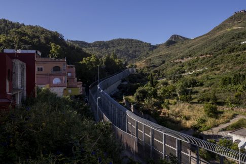 Πανεπιστήμιο Θεσσαλίας: Η παγκόσμια πρωτιά των φοιτητών κτηνιατρικής και η σημασία της ενιαίας υγείας