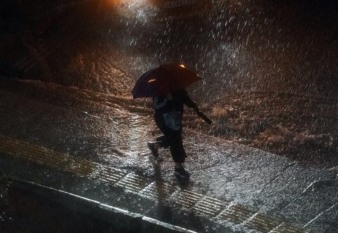 Διαδικτυακή ξενάγηση </br> στο «Μπλε Σπίτι» της Φρίντα Κάλο