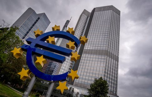 Θεσσαλονίκη: Κακοποιούσε σκύλο για να την εκφοβίσει – Συνελήφθη 18χρονος μετά από καταγγελία της συντρόφου του