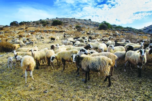 Μητσοτάκης από Βρυξέλλες: Όχι σε περικοπές σε κρίσιμους πυλώνες της ευρωπαϊκής πολιτικής – Πρόσθετες ευελιξίες για το ενεργειακό κόστος ζητά η Ελλάδα