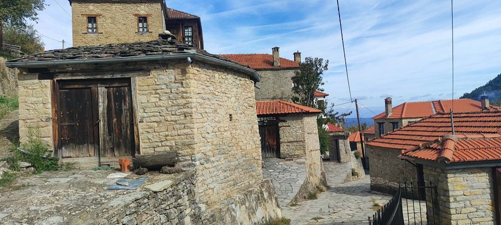 Δίλοφο Βοΐου: Η Γουρουνοχαρά, το γλέντι αποχαιρετισμού και οι επτά κάτοικοι που κρατούν ζωντανό το χωριό
