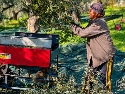 Καλαμάτα: Παράσταση διαμαρτυρίας αγροτών στην ΑΑΔΕ – «Έρχονται κινητοποιήσεις δυναμικότερες από τις περυσινές»