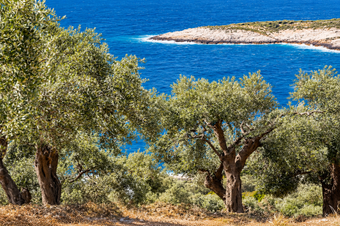 Συγκέντρωση του Συνδικάτου Μετάλλου  Μαγνησίας στο λιμάνι του Βόλου