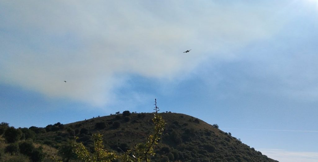 Φωτιά σε δασική έκταση στη Θεσπρωτία