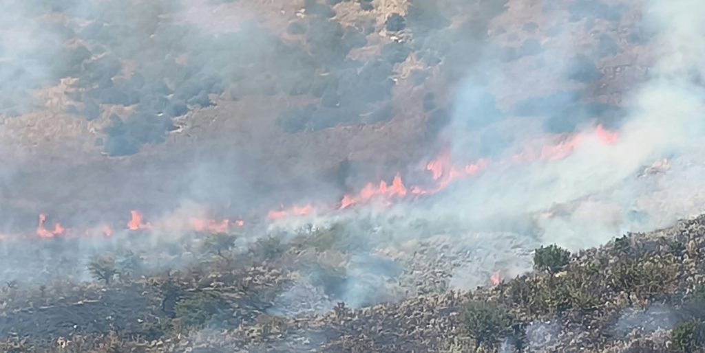 Φωτιά σε δασική έκταση στη Θεσπρωτία
