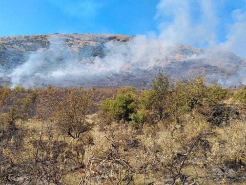 Πρόεδρος ΠΦΣ στο ΕΡΤnews Radio 105,8: Δωρεάν η χορήγησή αντιγριπικών εμβολίων – Υπάρχει επάρκεια στα φαρμακεία