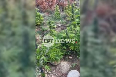 Καλαμάτα: Με δυο συγκεντρώσεις τιμήθηκε η 50<sup>η</sup> επέτειος της εξέγερσης του Πολυτεχνείου