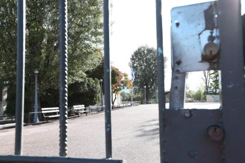 Σε απόγνωση οι καλλιεργητές βερίκοκου στη Χαλκιδική- Χάνονται οι κόποι μιας χρονιάς