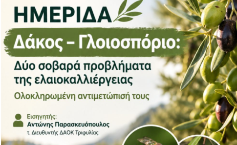 <strong>Σύσκεψη στη Γαστούνη για την παραβατικότητα</strong>