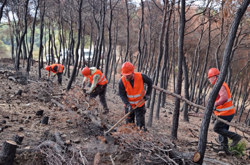 Παπασταύρου από Μέγαρα: Κάνουμε πράξη τη δέσμευσή μας για την προστασία της Δυτικής Αττικής – Αντιπλημμυρικά και αντιδιαβρωτικά έργα ύψους 4,5 εκατ. ευρώ
