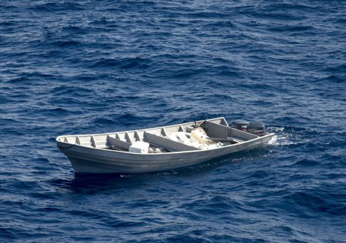 Σπάνιο απολίθωμα μικροσκοπικού Τυραννόσαυρου Ρεξ πωλήθηκε για 47,3 εκατ. δολάρια