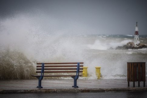 Θεσσαλονίκη: Κακοποιούσε σκύλο για να την εκφοβίσει – Συνελήφθη 18χρονος μετά από καταγγελία της συντρόφου του