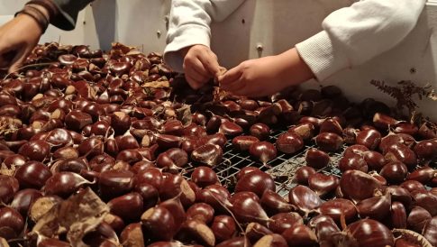 Συνεχείς απόπειρες τηλεφωνικής απάτης στο ανατολικό Πήλιο