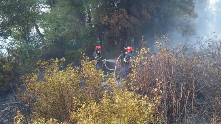 Οριοθετήθηκε η φωτιά στη Ρούσσα Σουφλίου