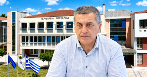 Άλλη Μεριά: Έκκληση άμεσης παρέμβασης στα ξερά πλατάνια για να μην υπάρξουν θύματα