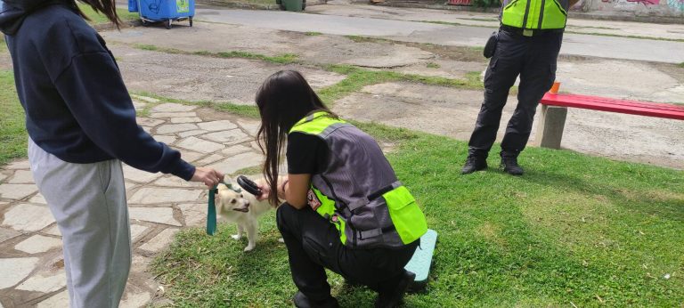 Θεσσαλονίκη: Έλεγχοι σε ιδιοκτήτες ζώων συντροφιάς από μικτά κλιμάκια ΕΛΑΣ και δημοτικής Αστυνομίας