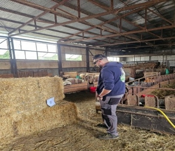 Τεχνητή νοημοσύνη σε κτηνοτροφικές μονάδες των Ιωαννίνων μέσω του έργου «ΠΟΙΜΕΝΑΣ»