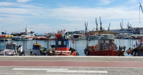 Σκιάθος: 650 μαθητές ενημερώθηκαν για την κομποστοποίηση και τη μείωση της σπατάλης τροφίμων