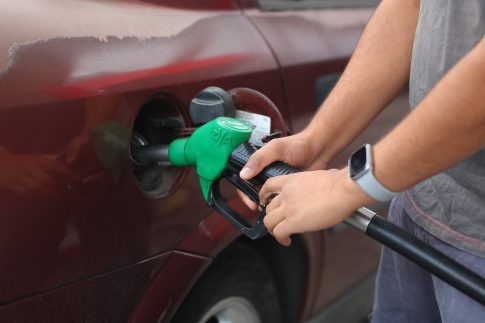 Θεσσαλονίκη: Κακοποιούσε σκύλο για να την εκφοβίσει – Συνελήφθη 18χρονος μετά από καταγγελία της συντρόφου του